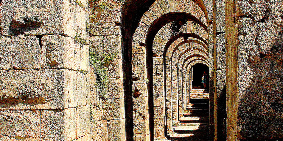 BT&NK Tax Planning Model