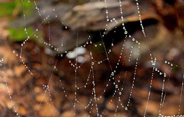 التواصل العام والعلاقات المؤسساتية