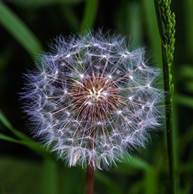 تقنية المعلومات