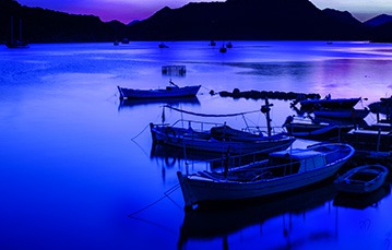 家庭指南针<sup>®</sup>